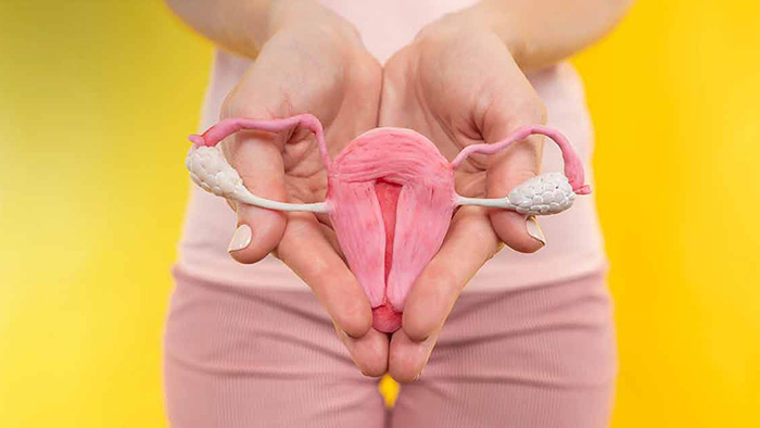 female reproductive health